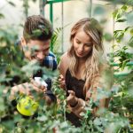 The Art of Mindfulness and Health